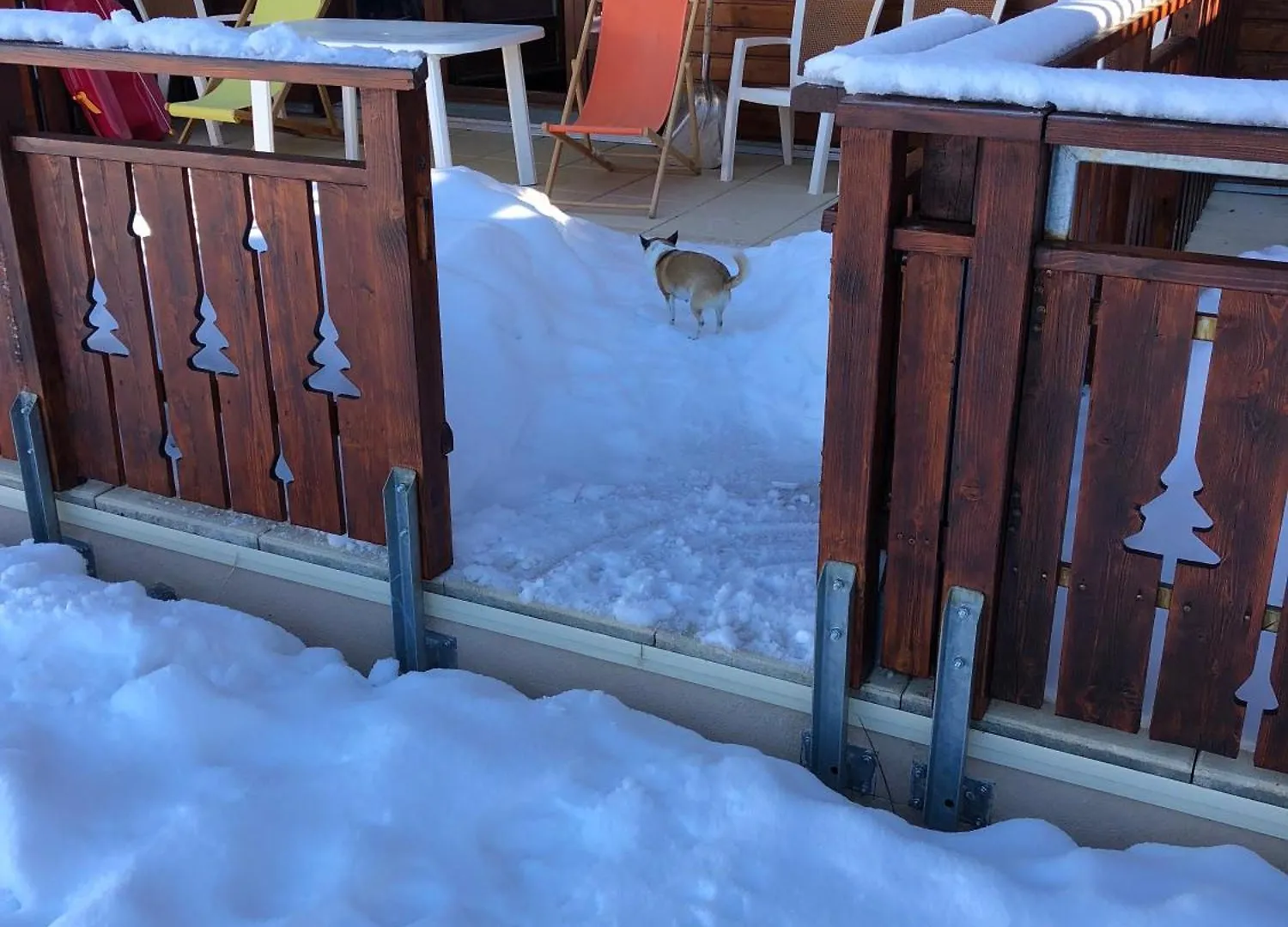 Lejlighed L'Appart Acces Direct Sur Les Pistes Frankrig